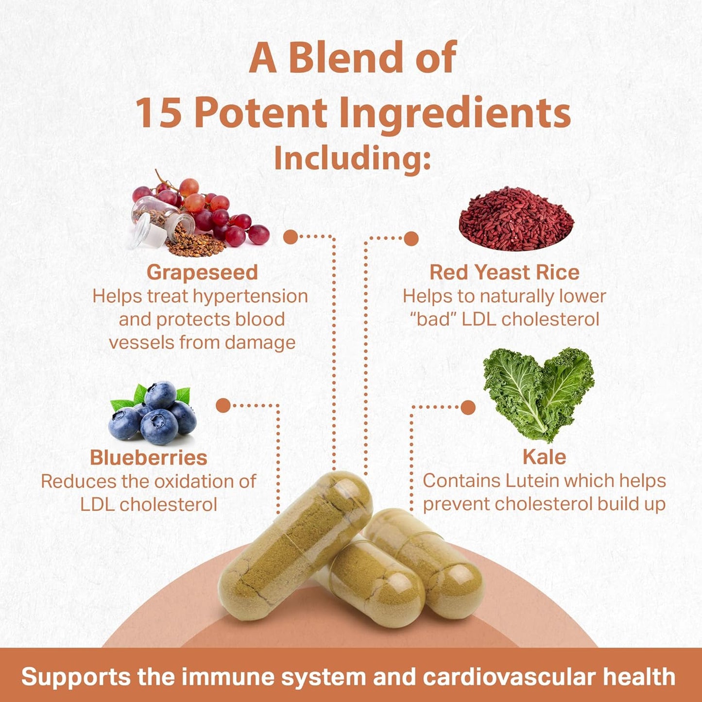 Strength & Spices - Cholesterol Care Supplement 1000mg, 60 Capsules